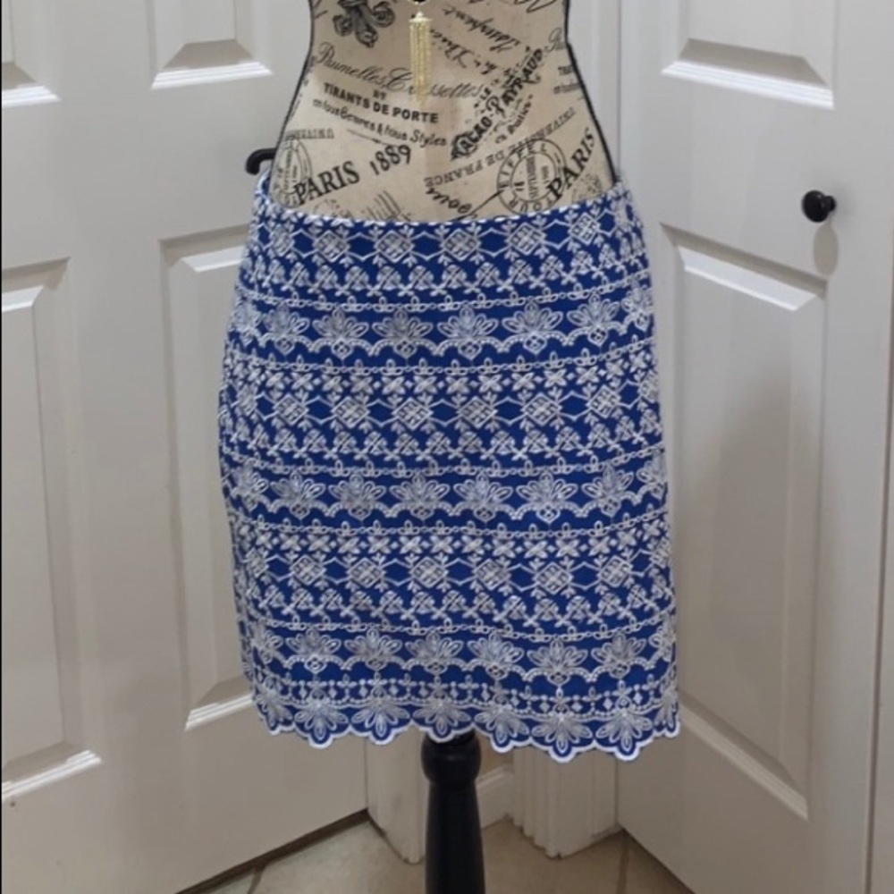 NEW $80 Loft Embroidered Shift Skirt w lining